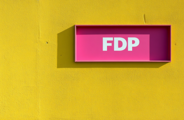 fdp-wahlprogramm-2025-freiheit-und-innovation-im-fokus