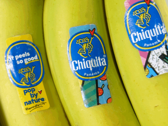 massenentlassungen-bei-chiquita-erschüttern-panama