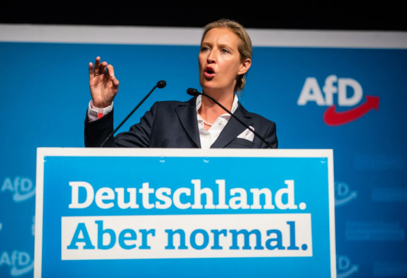 afd-gewinnt-jugend,-spd-verliert-rückhalt